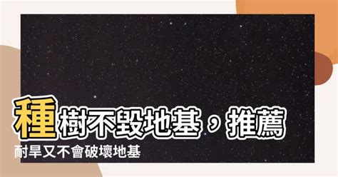 不會破壞地基的樹種|如何避免在錯誤的地方種植錯誤的樹種？ 英國皇家植。